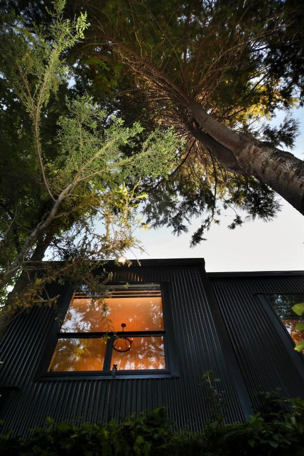 L'Amour Nest Napier Exterior photo